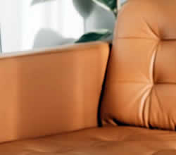 Leather Repair Services